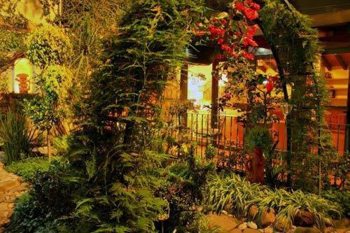 Acomodação com café da manhã  La Casita Del Patio Cidade do México