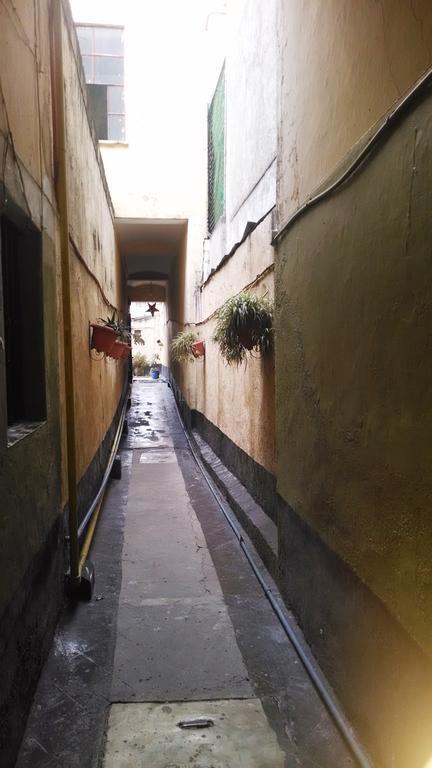 La Colonial