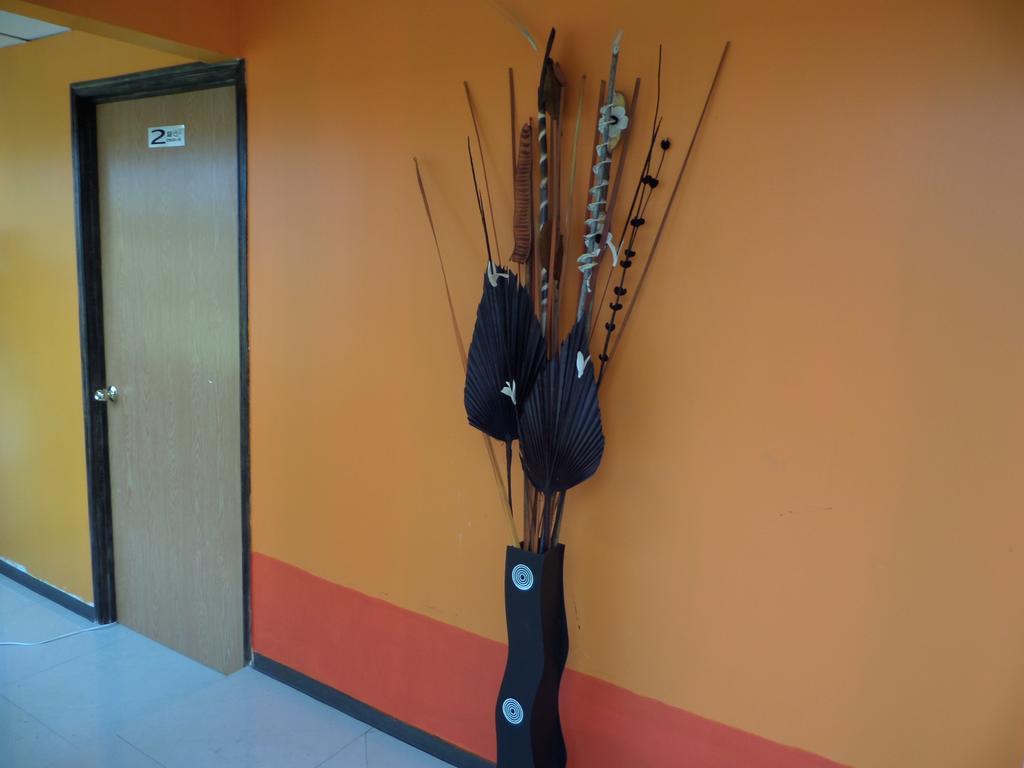 399 Conejos Y Yo Hostal México DF
