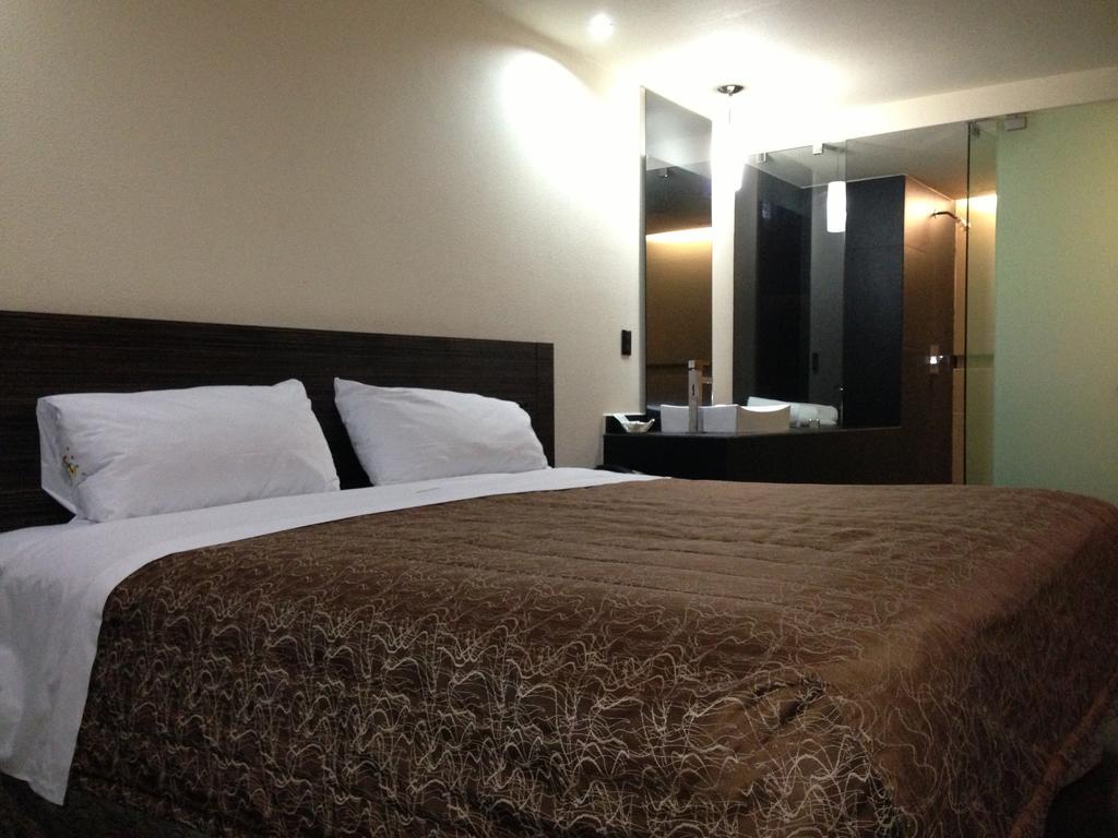 Hotel Amazonas México DF