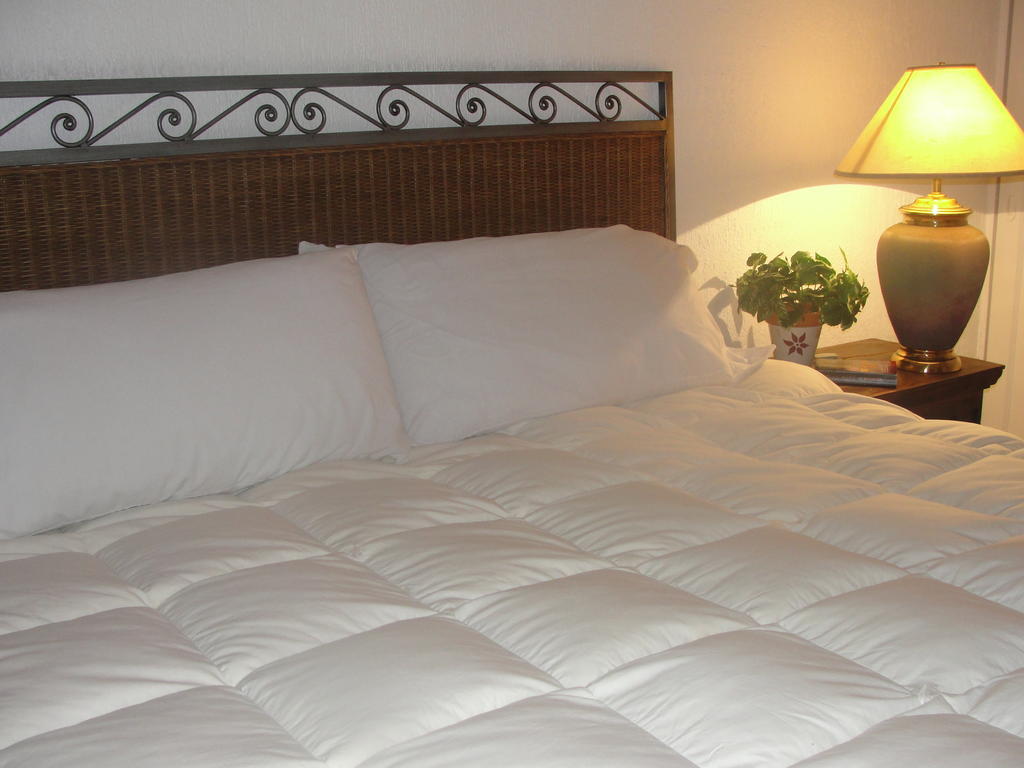 Apartamento Steinhaus Homero