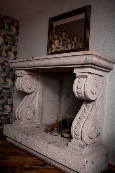 Pug Seal Coyoacan México DF