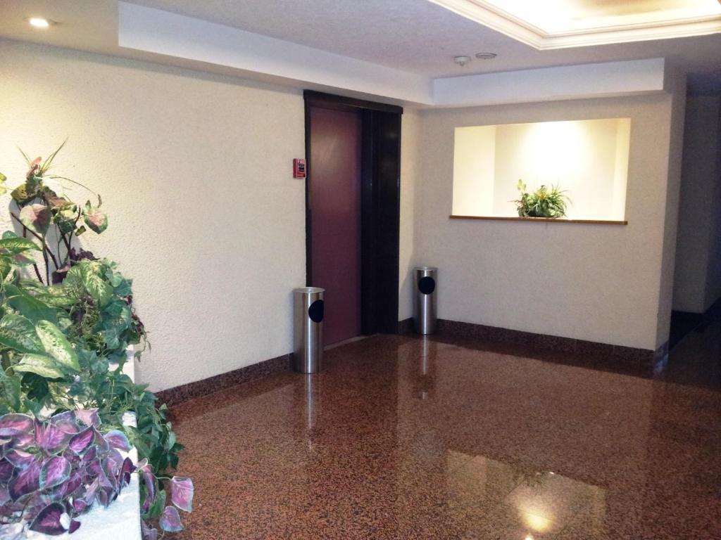 El Salvador Hotel México DF