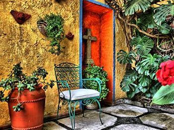 Acomodação com café da manhã  La Casita Del Patio Cidade do México
