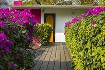 Hostal Cuija Coyoacan Berlin 268 Coyoacan