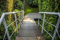 Hostal Cuija Coyoacan Berlin 268 Coyoacan Guest house 2*