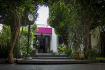 Guest house Hostal Cuija Coyoacan Berlin 268 Coyoacan Mexico City