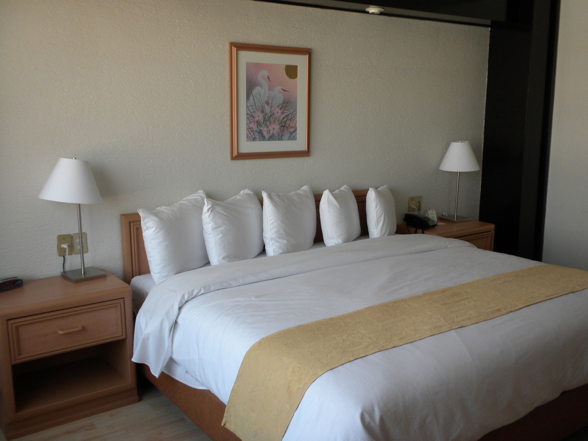 Hotel Pf