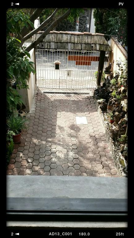 Ciudad De Unam Homestay *