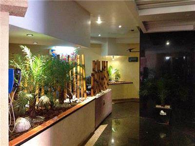 Hotel Tacubaya Mexico City