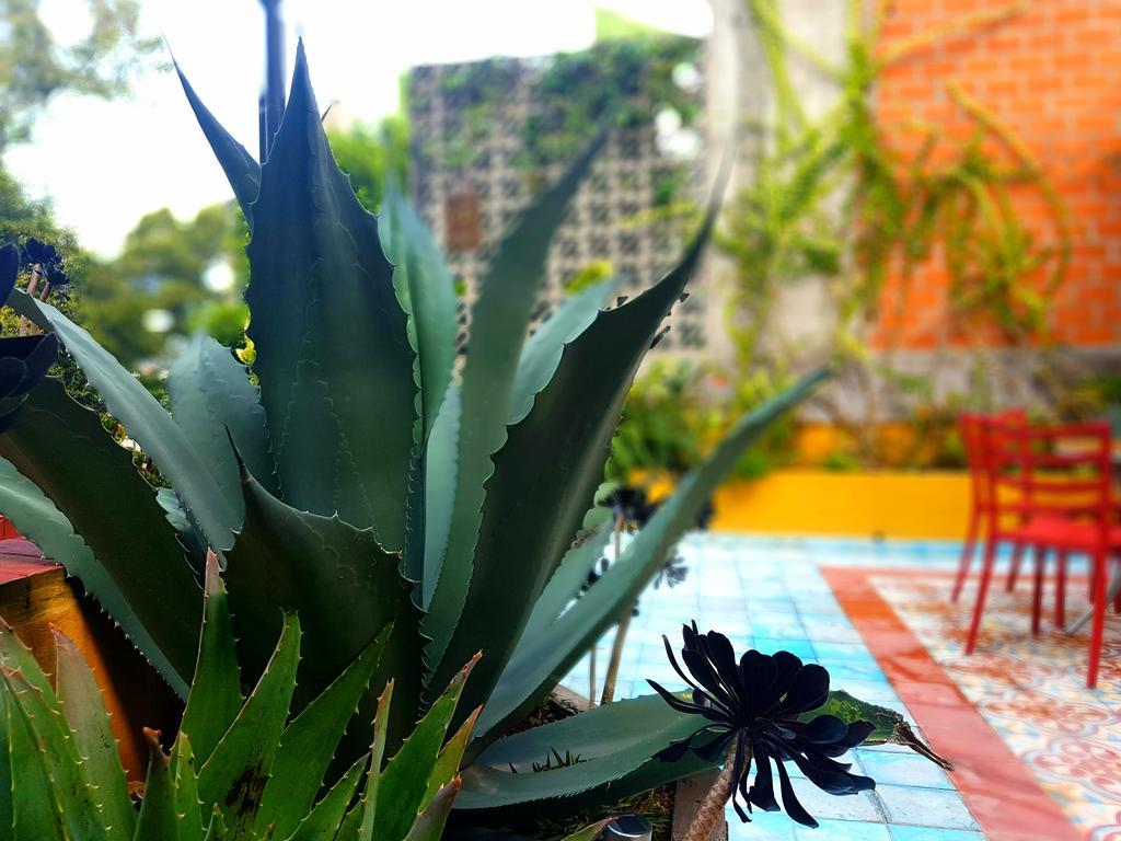 Bed and breakfast La Querencia Df México DF