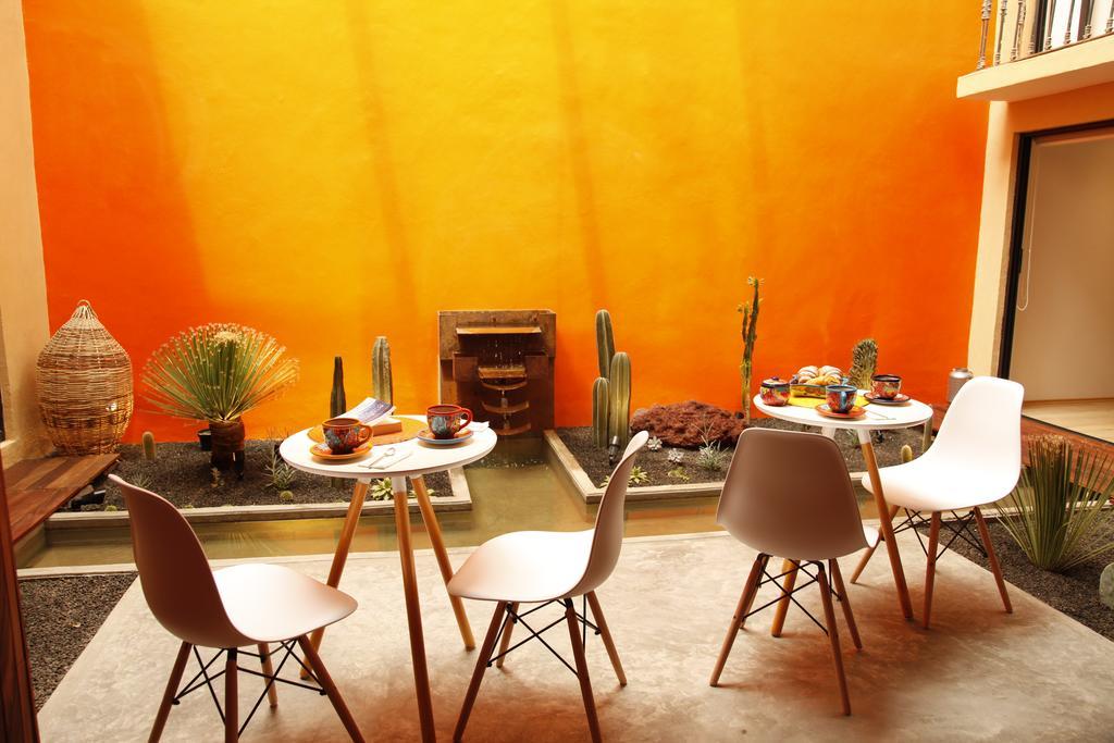 Guest house Coyoacan - Mexico City