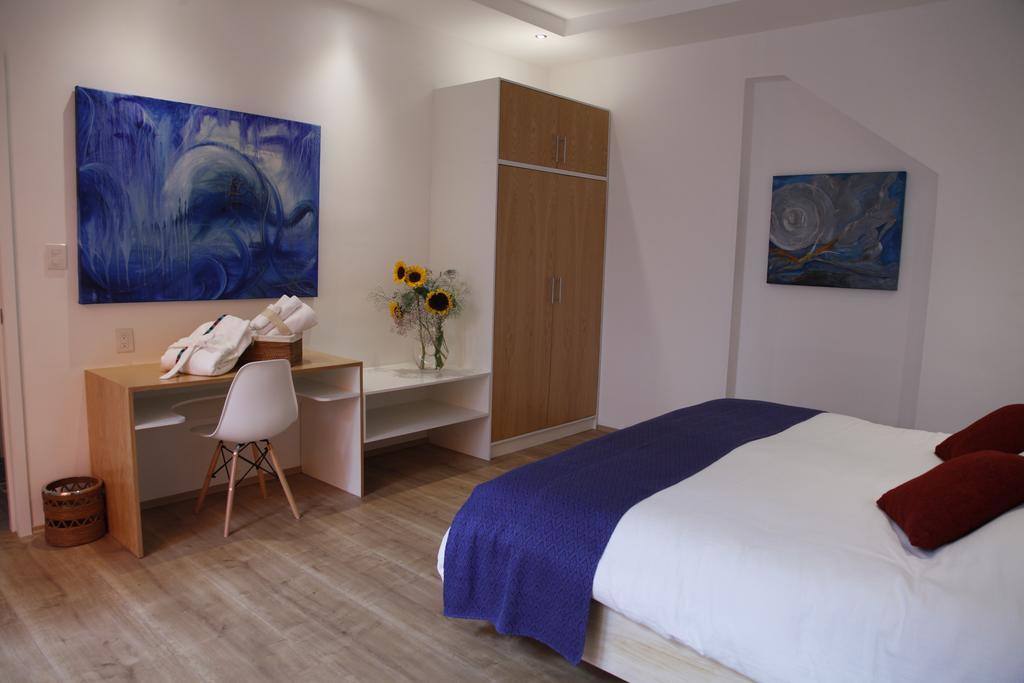 Guest house Coyoacan - Mexico City
