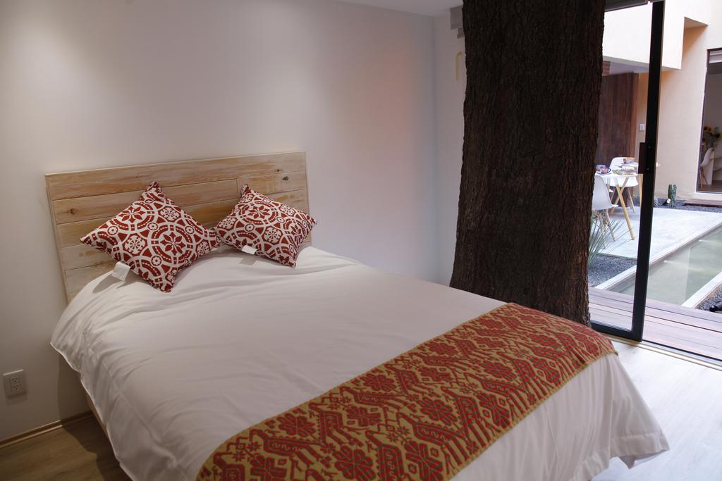Guest house Coyoacan -