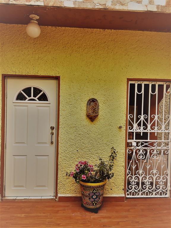 The 222 Homestay Mexico City
