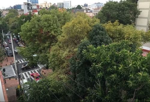 2 Beds 2 Baths Condesa Apartment Mexico City
