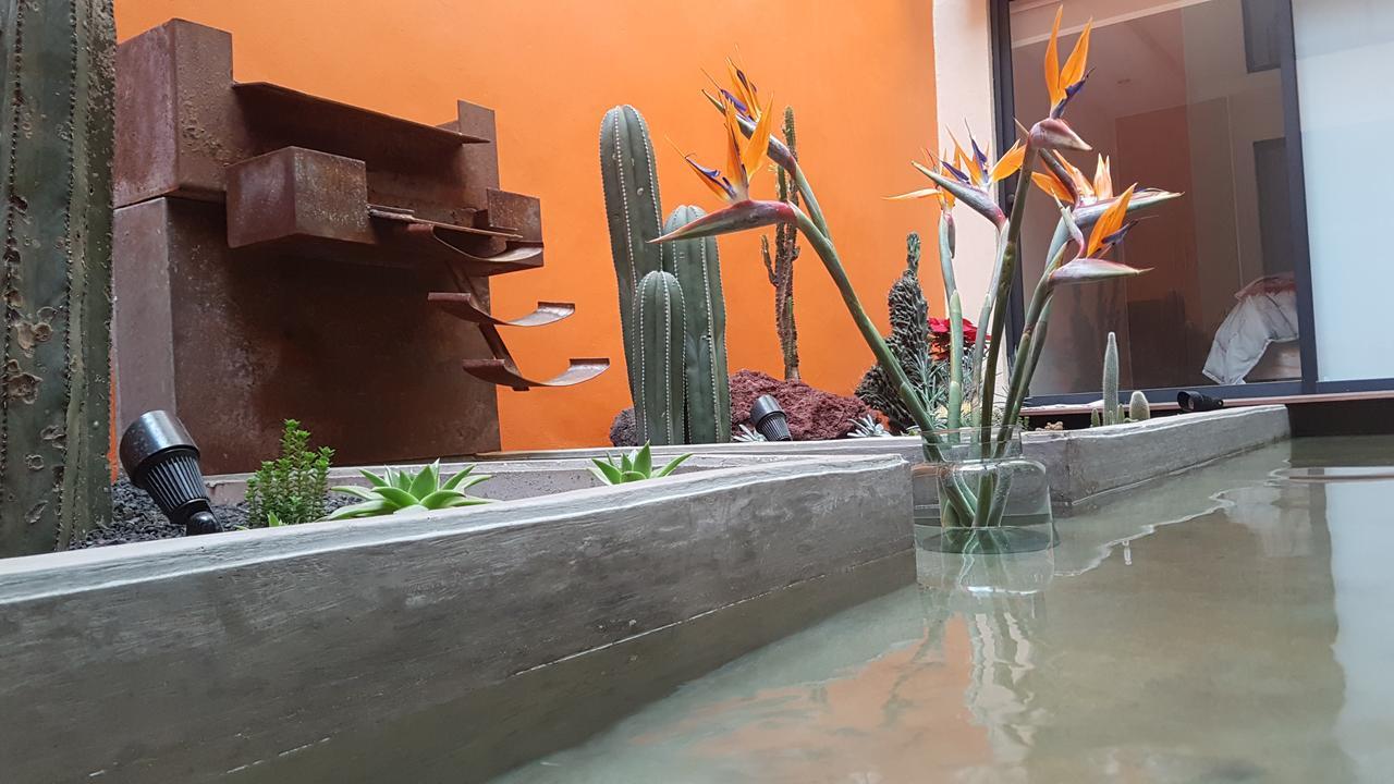 Coyoacan - Guest house Mexico City