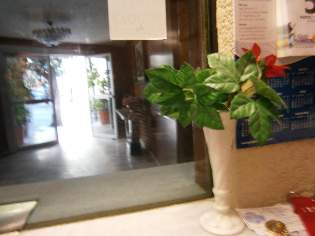 Hotel Polly México DF
