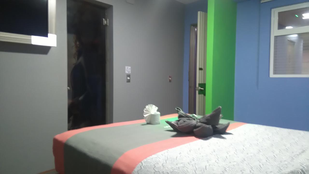 H - Eco Adults Only 2*