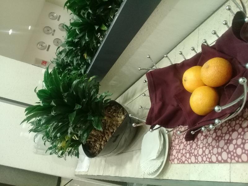 We Aeropuerto Hotel