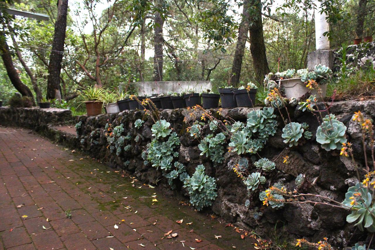 Cabana Espacio De Oyamel * Cidade do México