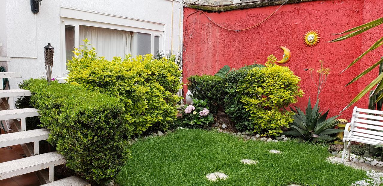 Anys Hostal Guest house Mexico City