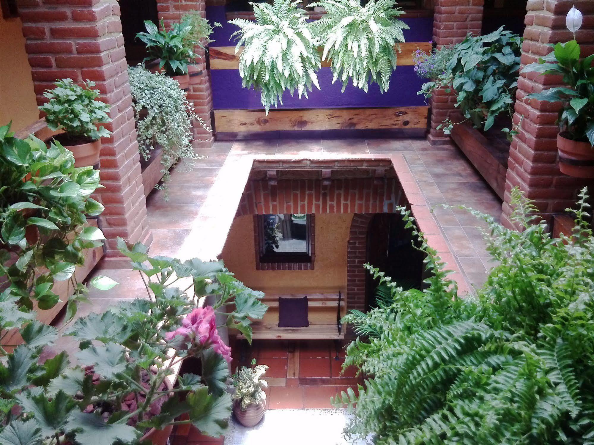 Mex Suites Casa Azul Bed & Breakfast 5*