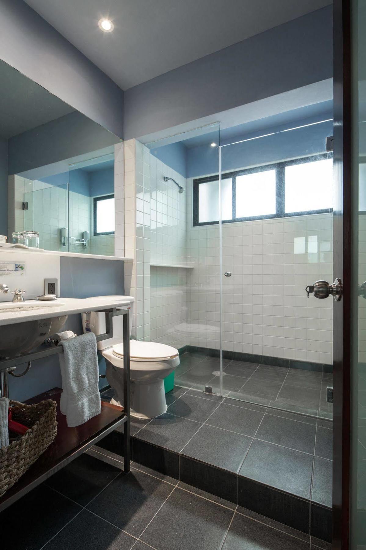Flowsuites Polanco 4*