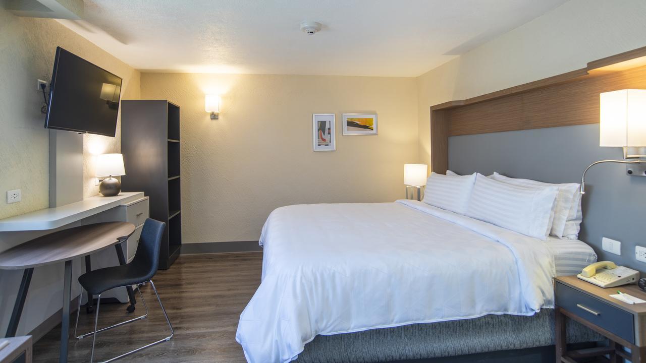Coyoacan Hotel Mexico City