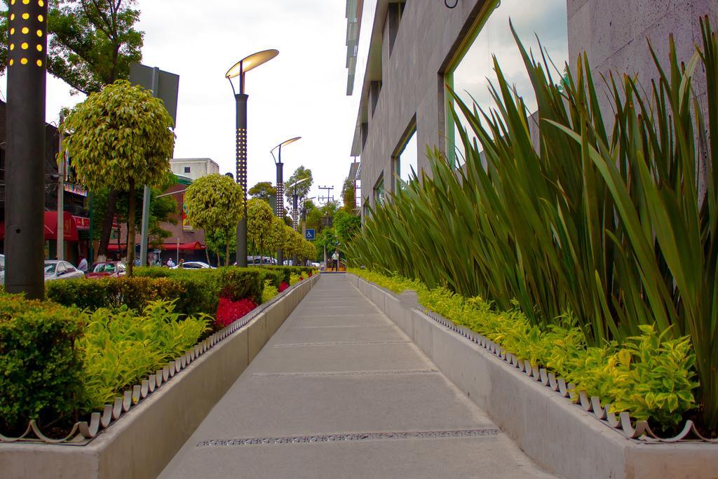 Hotel Novit