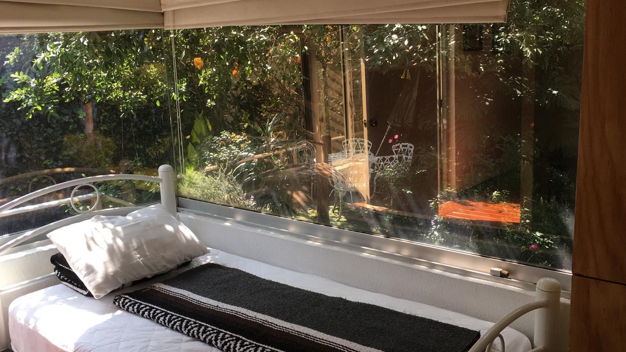 Hostal Cuija Coyoacan Berlin 268 Coyoacan Guest house Mexico City