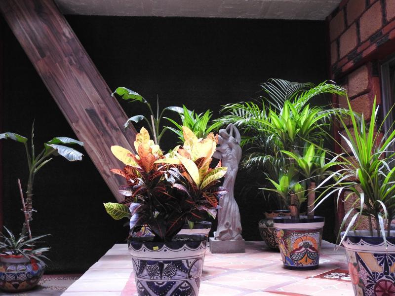 Hotel Benedicta Hotel 4*