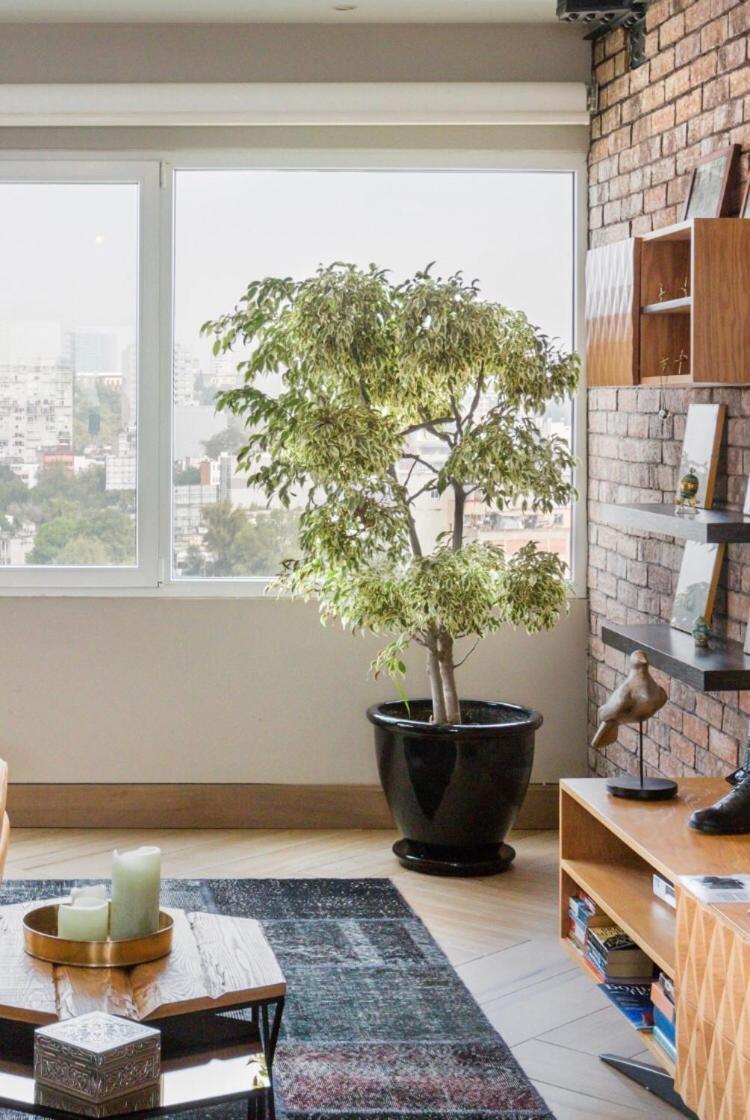Lofts Vista Condesa Apartamento *