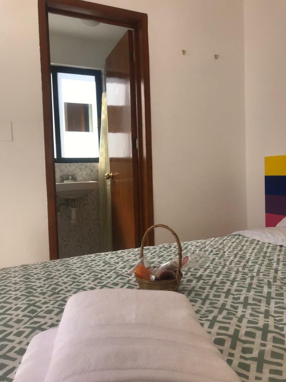 Casa Frida Hostal