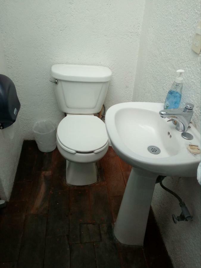 Guest house Hostal Cuija Coyoacan Berlin 268 Coyoacan