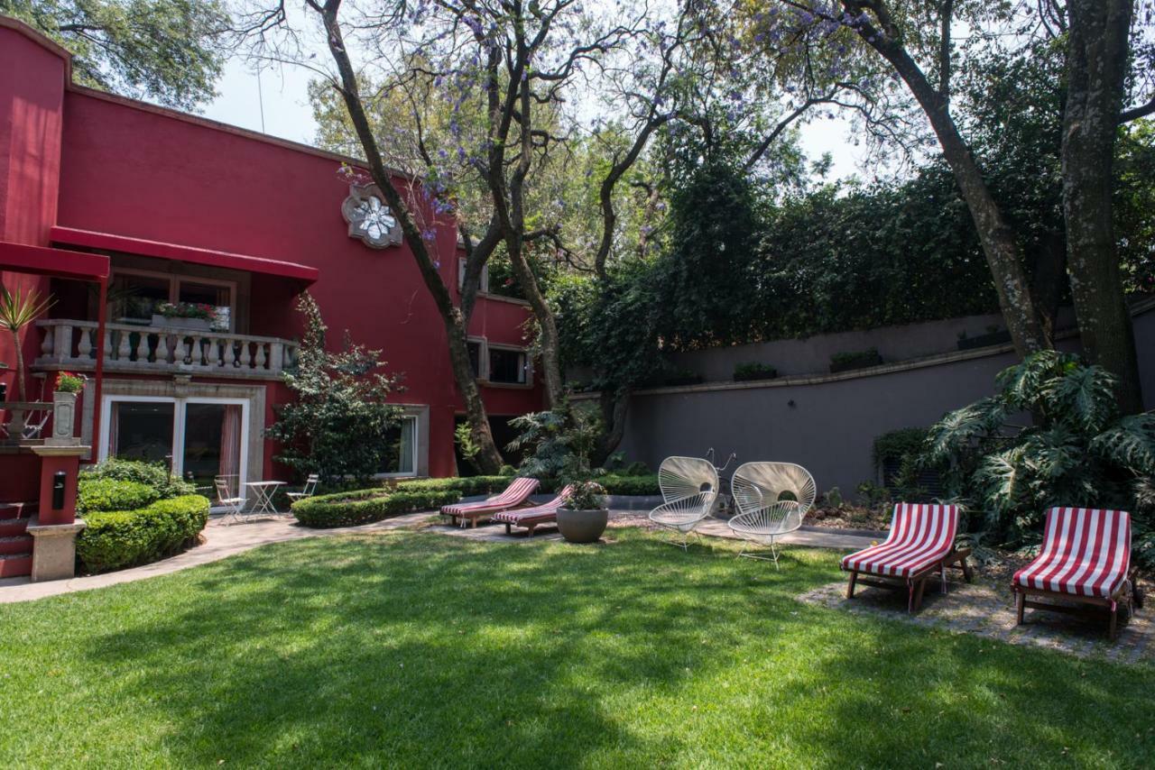 Сasa de vacaciones Pug Seal Coyoacan