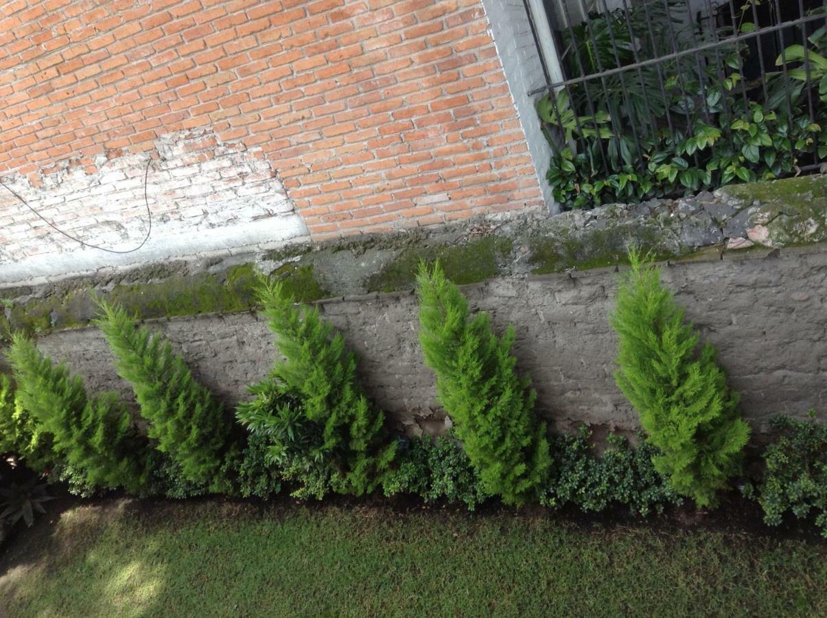 Hospedagem domiciliar Centro De Coyoacan