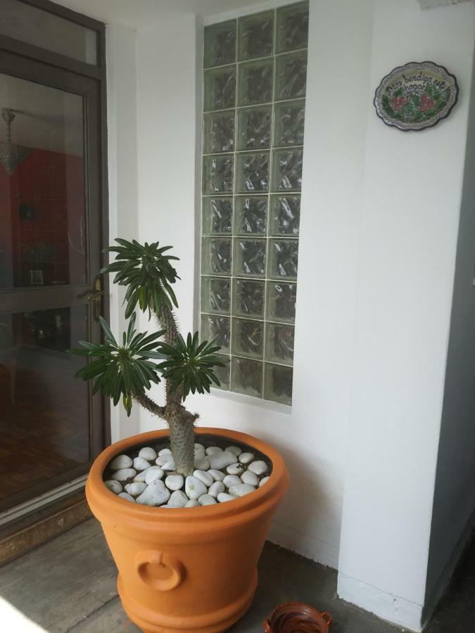 Bed & Breakfast Colibri