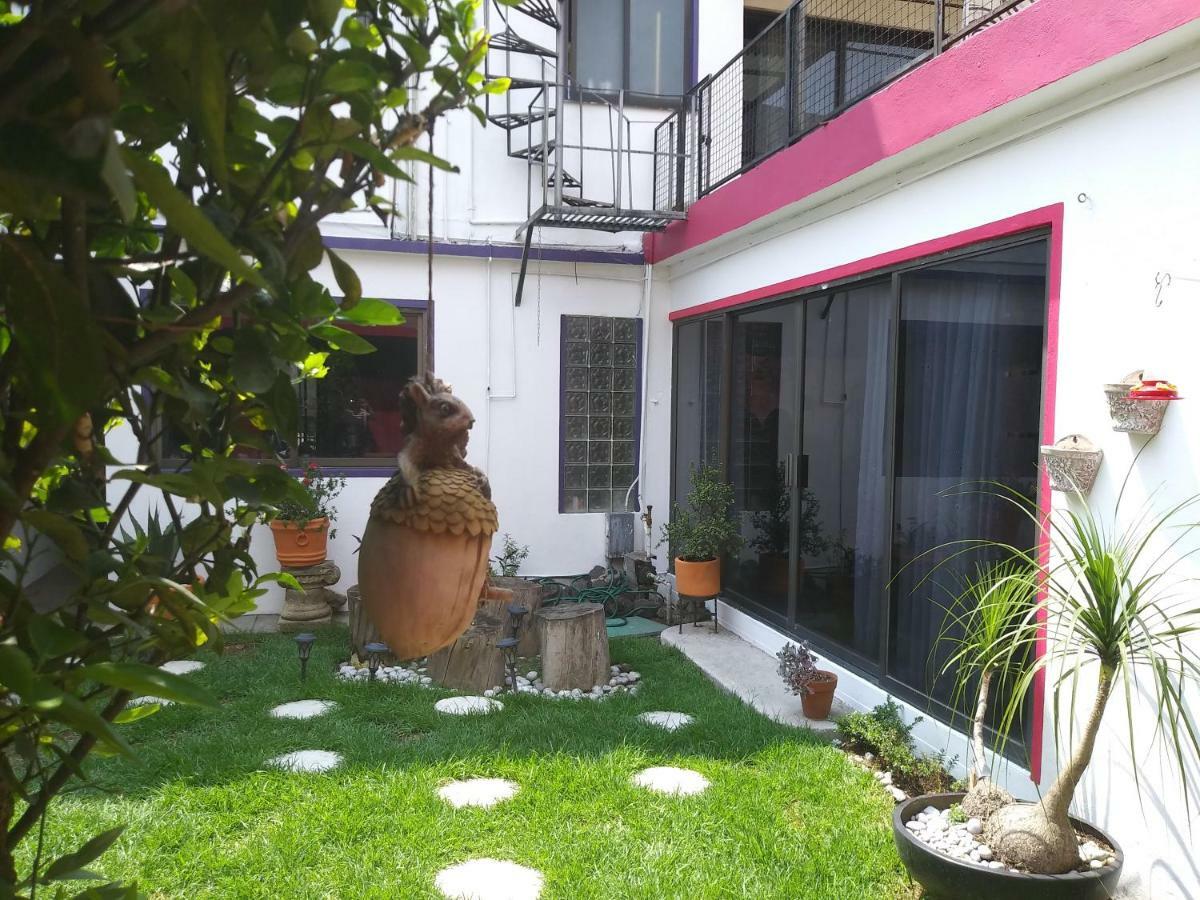 Colibri Bed & Breakfast *