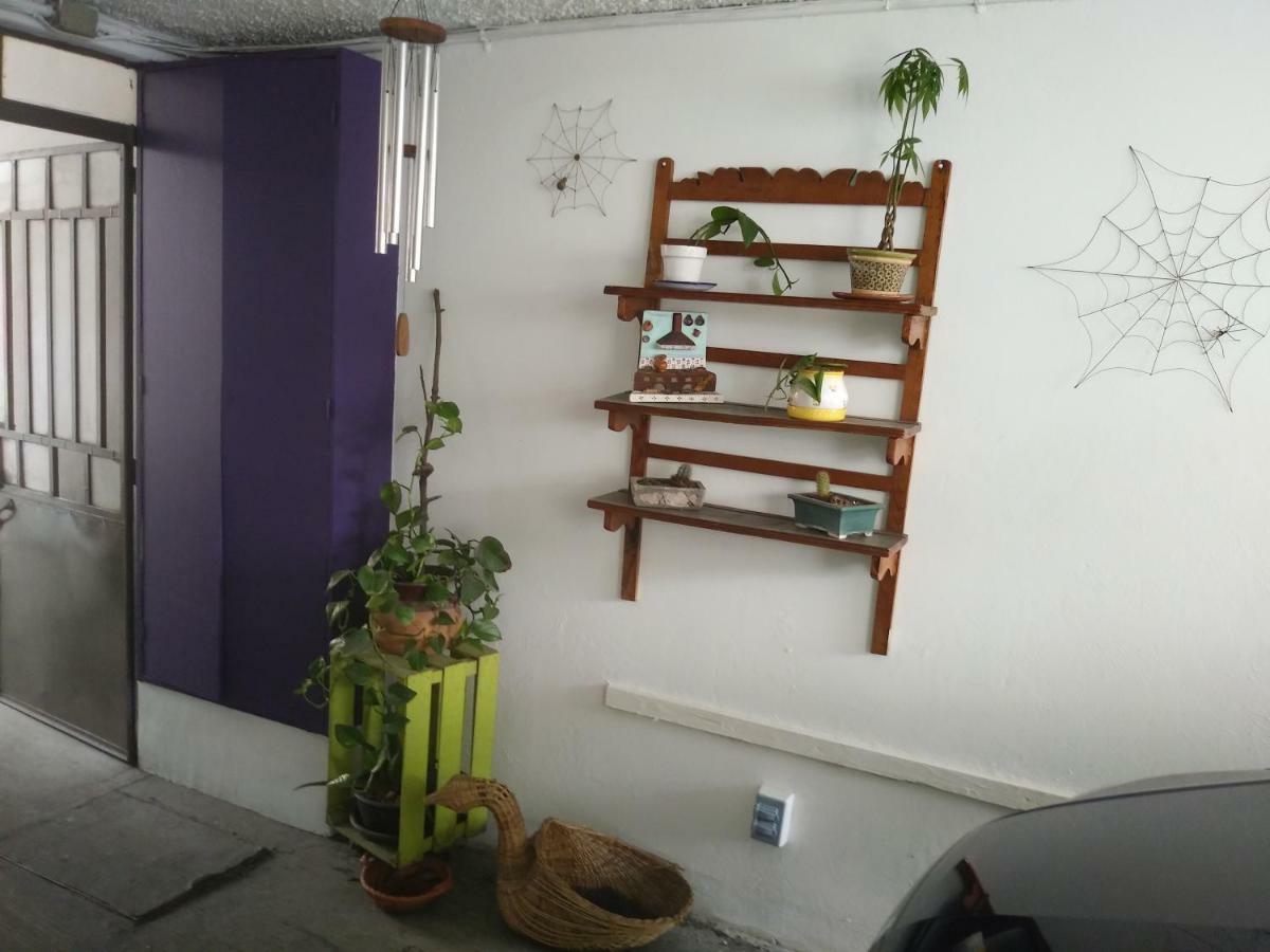Colibri Bed & Breakfast *