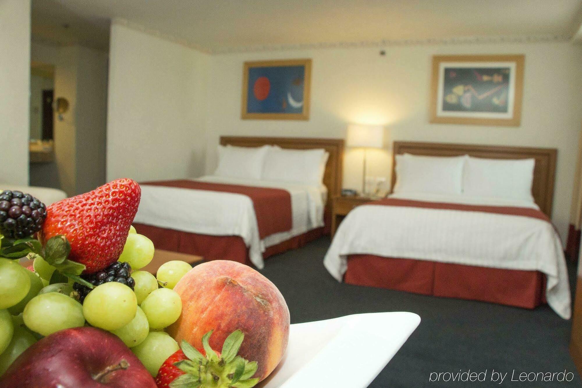 Coyoacan Hotel Mexico City