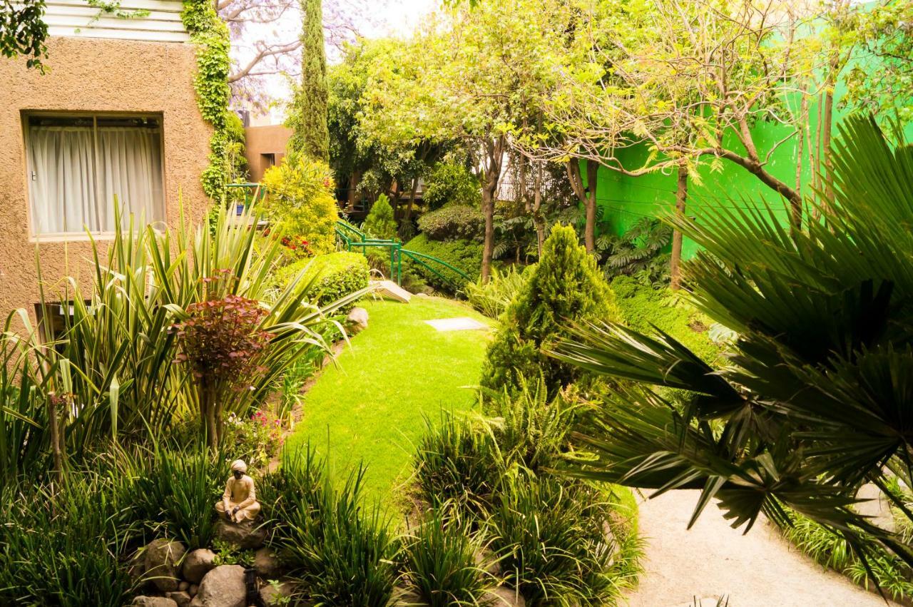 4a, Terraza, Garden House, Welcome To San Angel Apartamento *