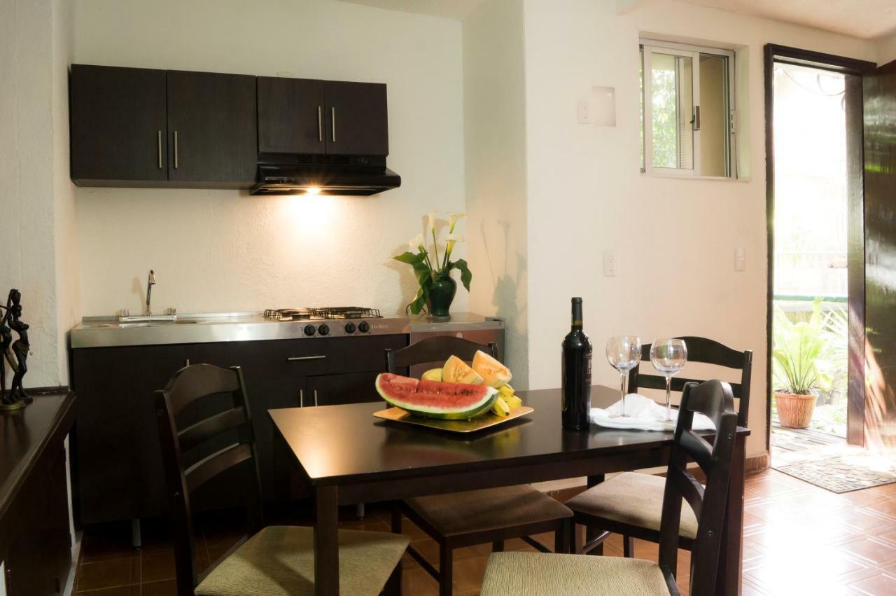 5a, Altavista, Garden House, Welcome To San Angel Apartment