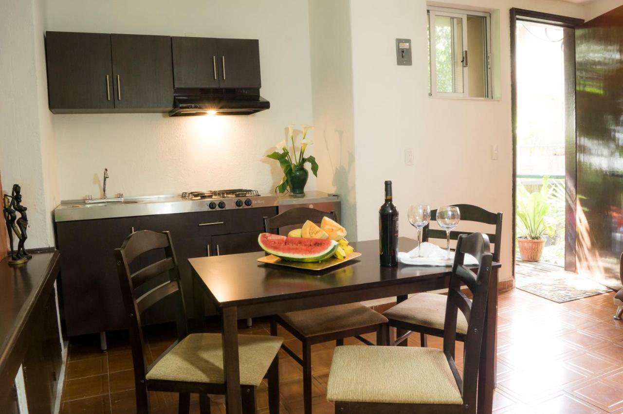 Apartment 5a, Altavista, Garden House, Welcome To San Angel