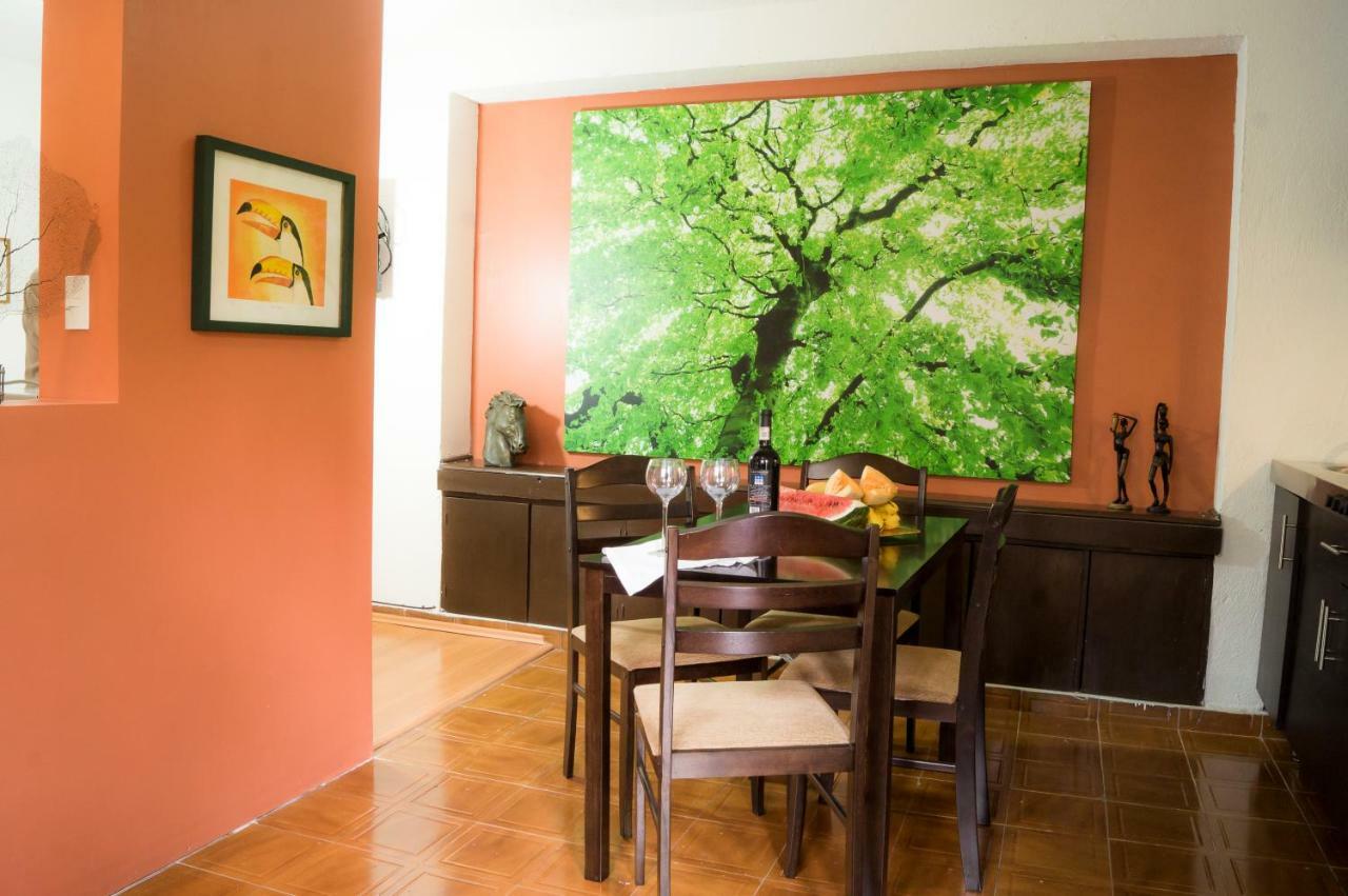5a, Altavista, Garden House, Welcome To San Angel Mexico City