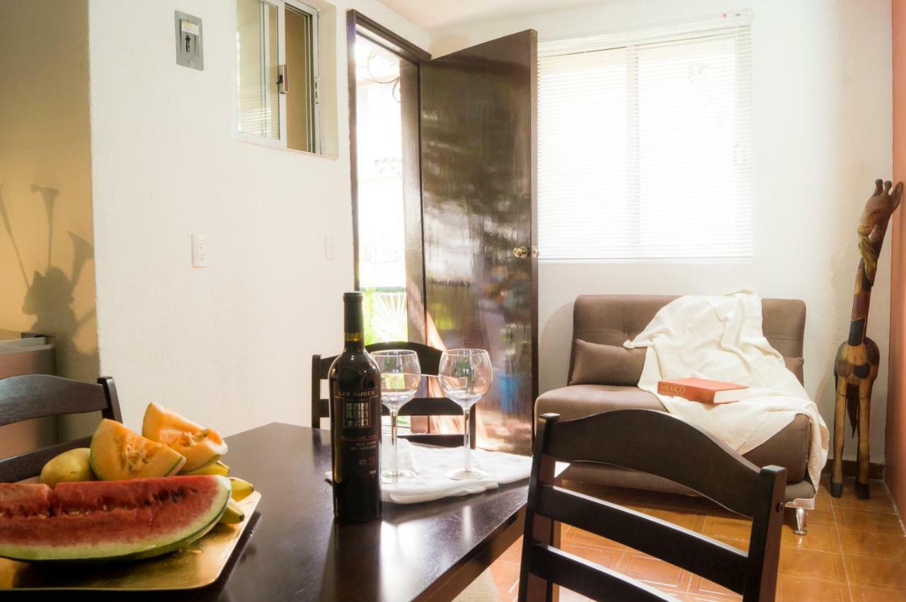 Apartment 5a, Altavista, Garden House, Welcome To San Angel Mexico City