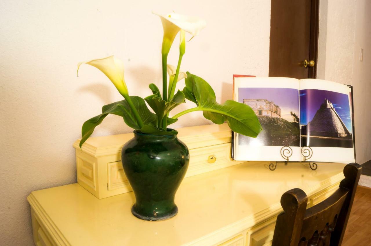 1c, Balcon, Garden House, Welcome To San Angel Apartment *