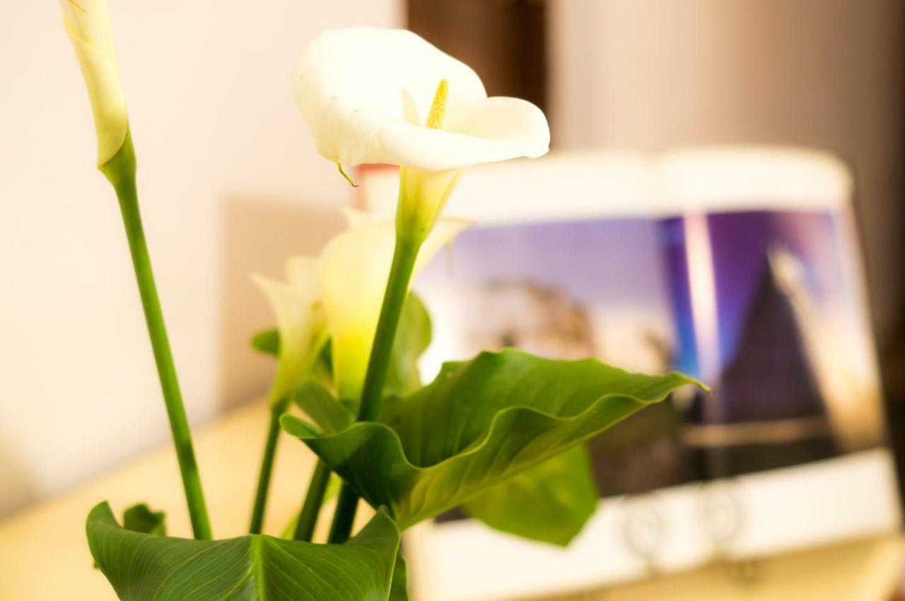 1c, Balcon, Garden House, Welcome To San Angel Apartment *