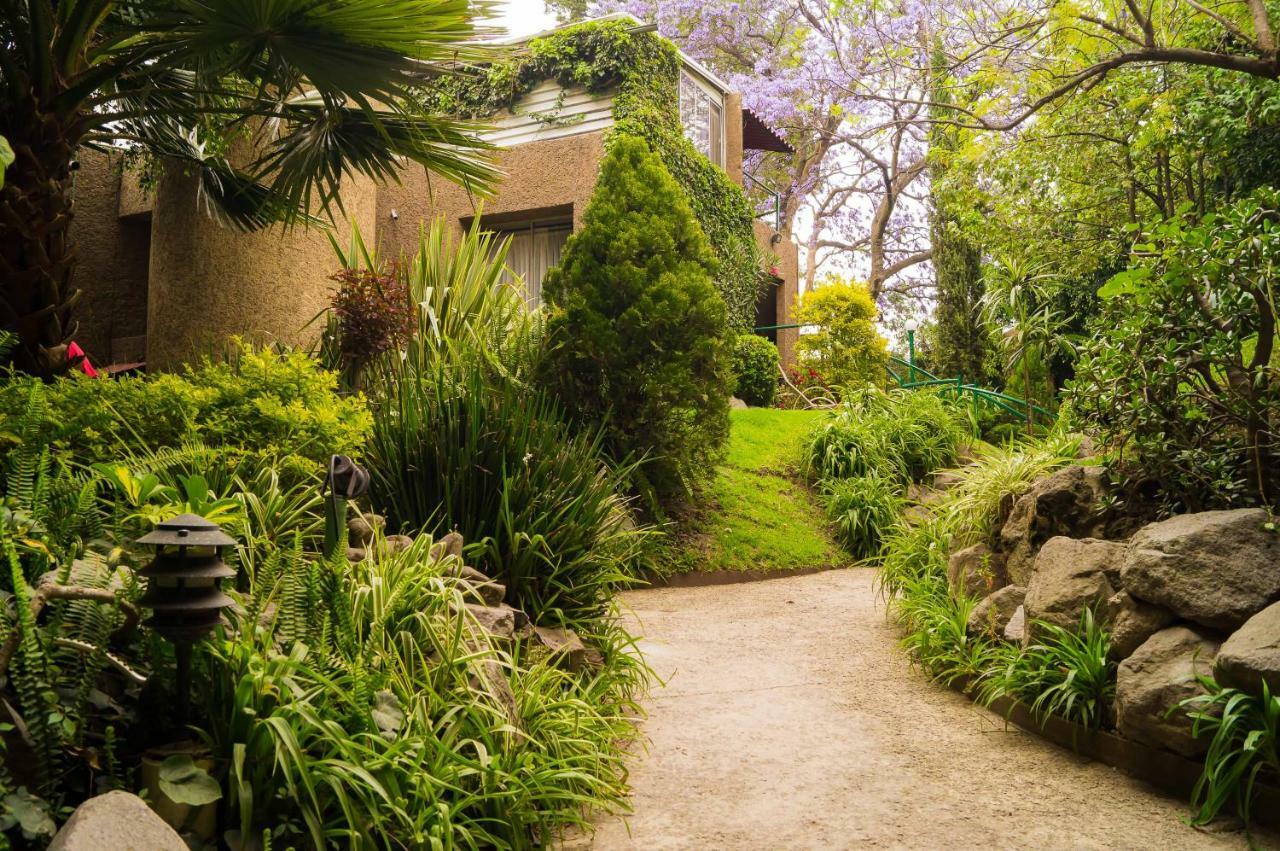 1-a Monasterio Garden House Welcome To San Angel