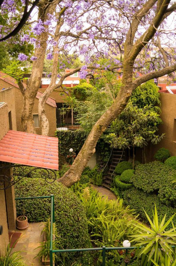 1-a Monasterio Garden House Welcome To San Angel Apartment Mexico City